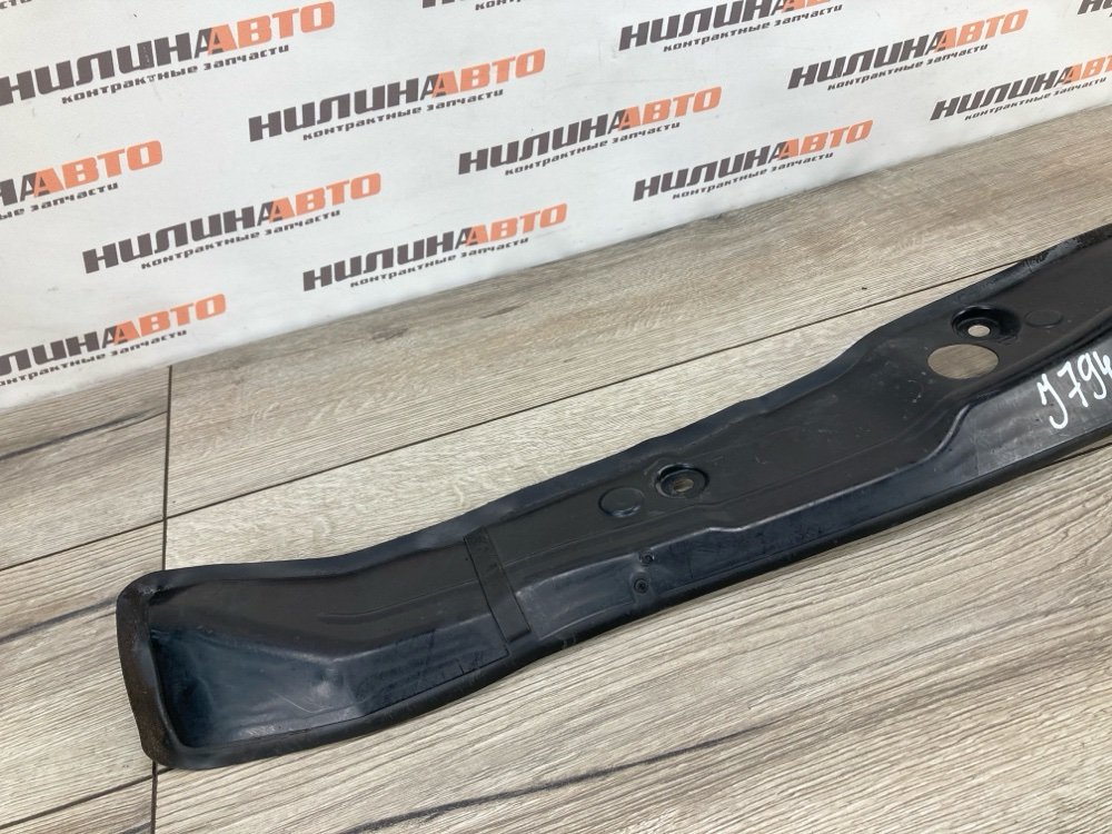 Пыльник крыла, 1000 рублей, Москва