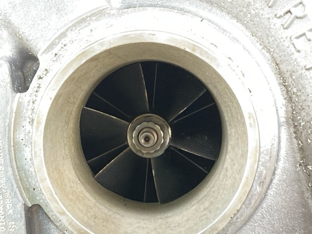 Турбина, 27000 рублей, Москва