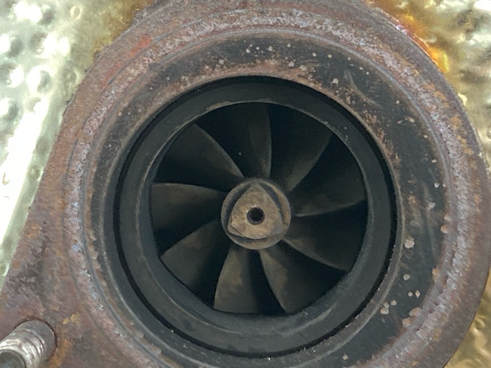 Турбина, 27000 рублей, Москва