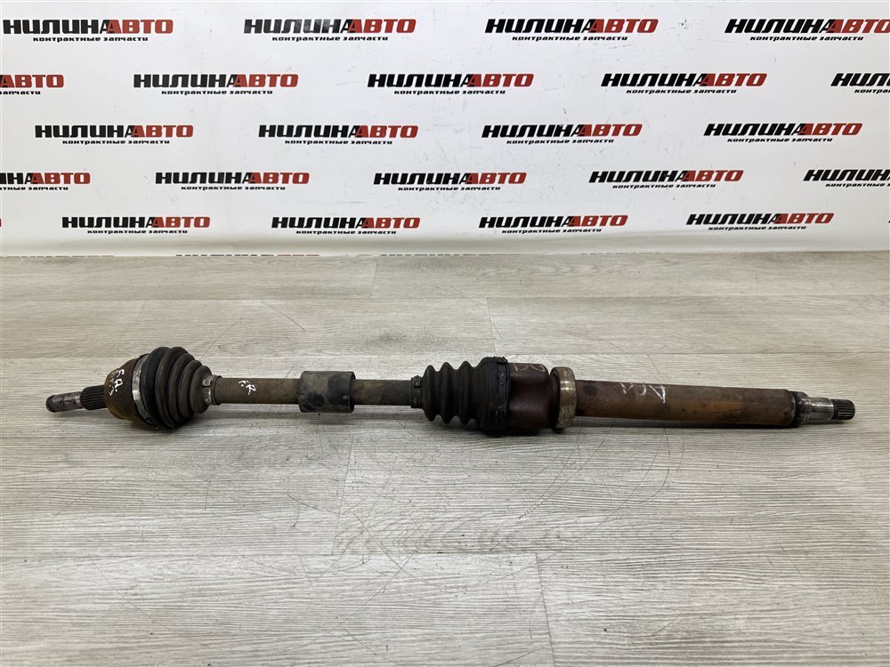 Привод, 10000 рублей, Севастополь