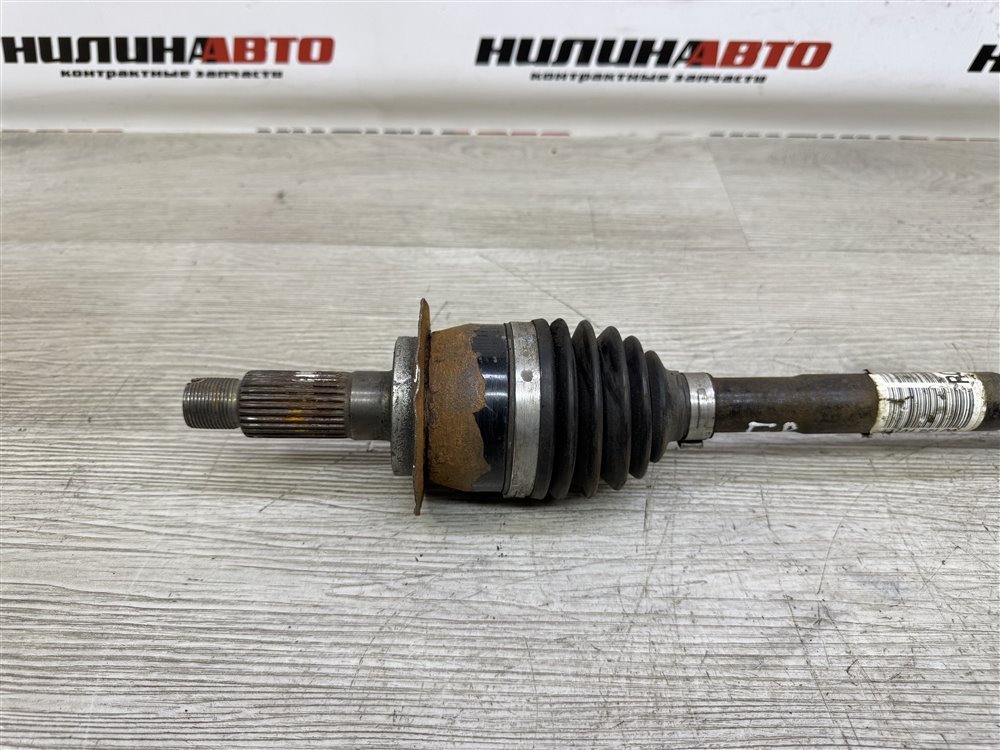 Привод, 15000 рублей, Севастополь