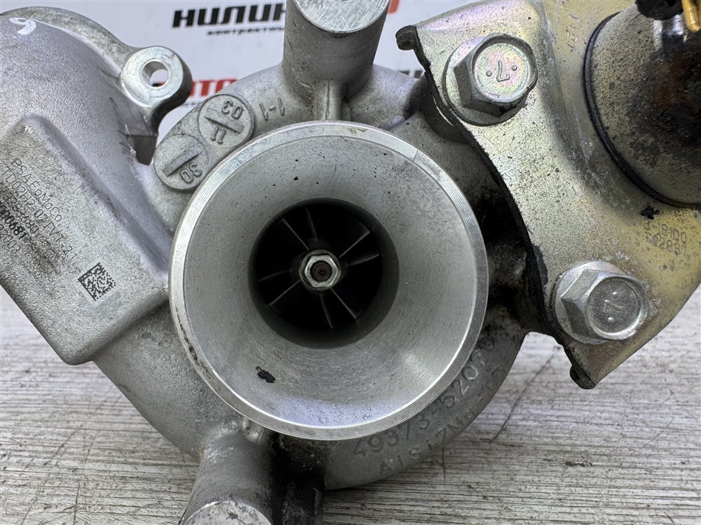 Турбина, 8000 рублей, Севастополь