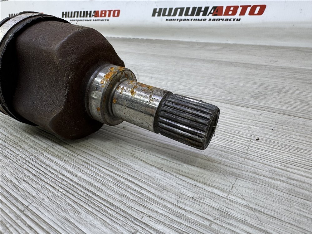 Привод, 2500 рублей, Севастополь