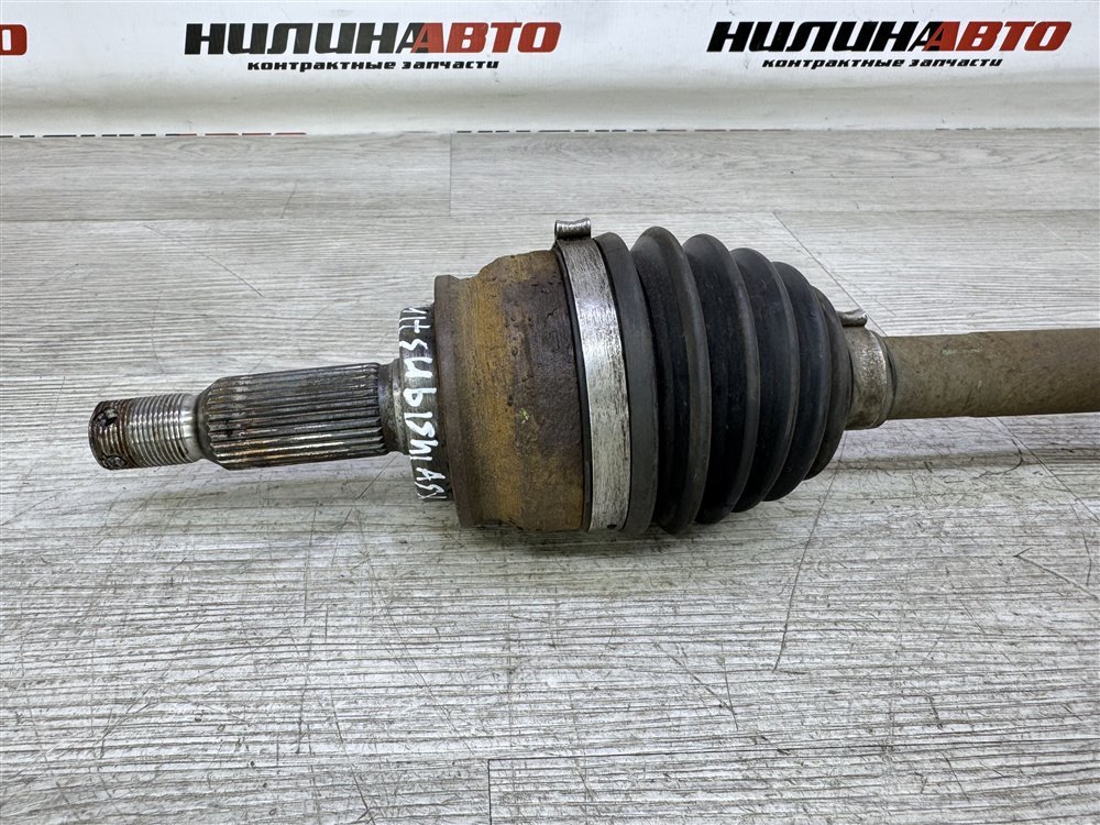 Привод, 10000 рублей, Севастополь