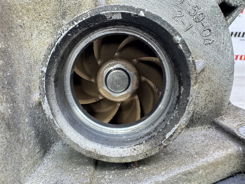 Помпа, 1000 рублей, Севастополь