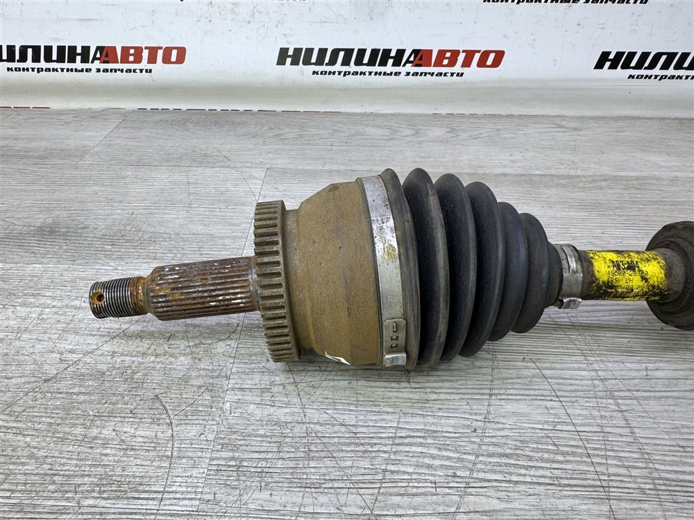 Привод, 6000 рублей, Севастополь