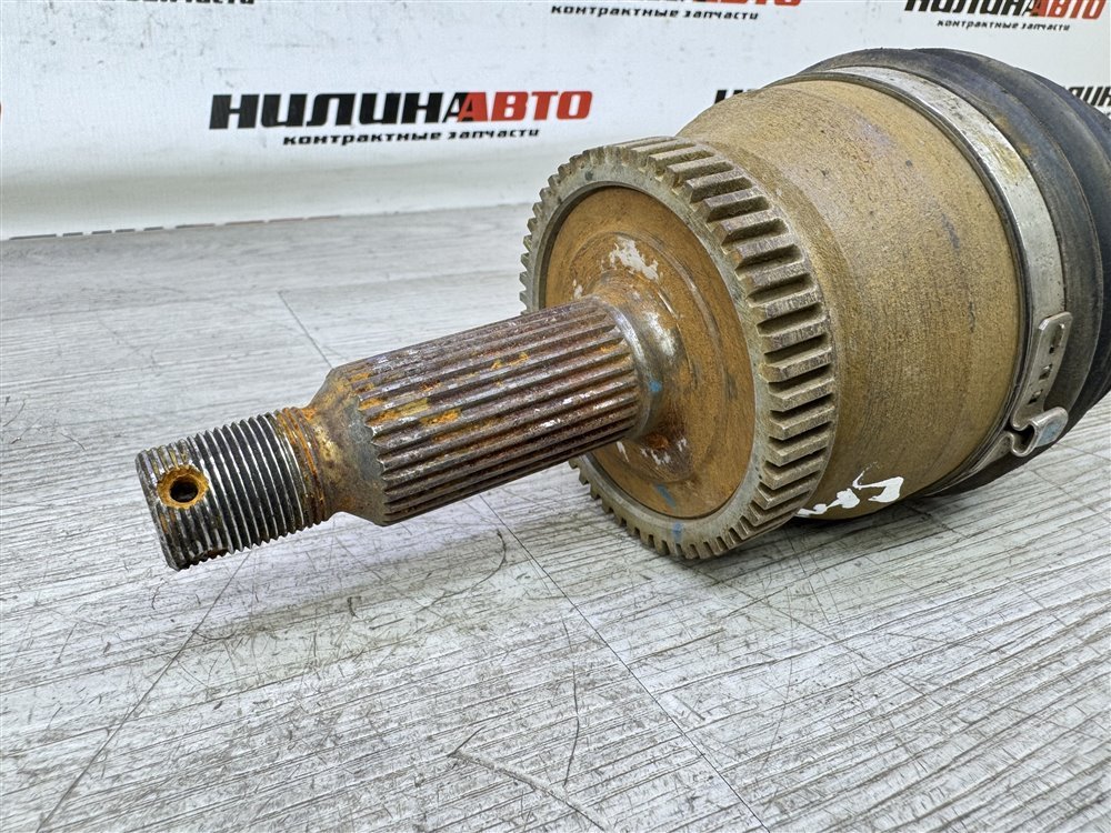 Привод, 6000 рублей, Севастополь