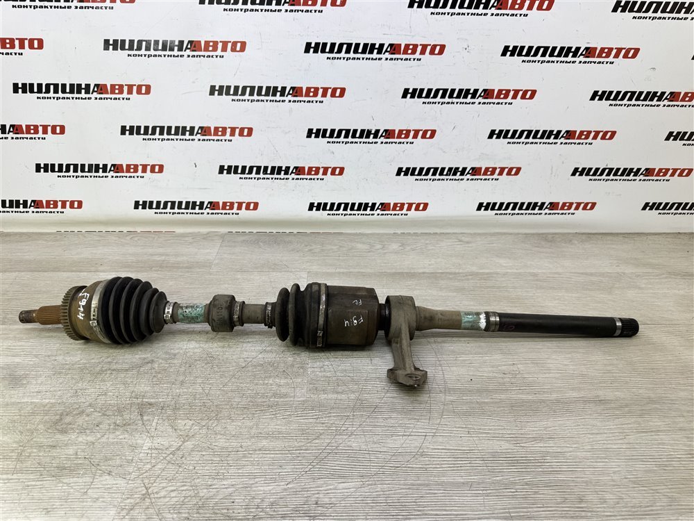 Привод, 10000 рублей, Севастополь