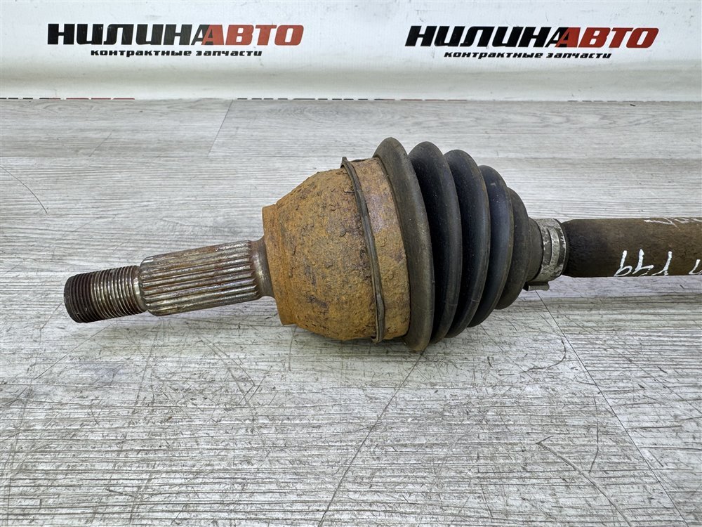 Привод, 3000 рублей, Севастополь