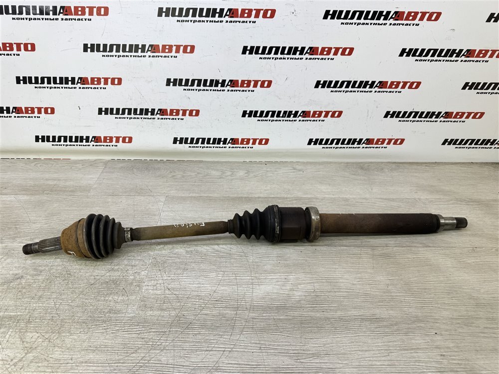 Привод, 5000 рублей, Севастополь