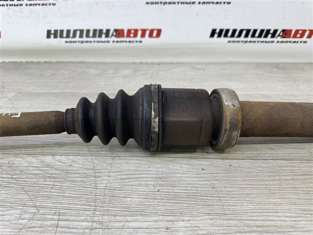 Привод, 5000 рублей, Севастополь