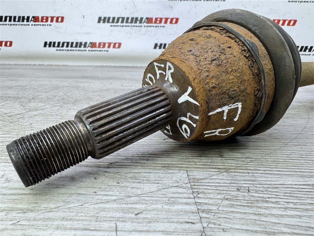 Привод, 5000 рублей, Севастополь