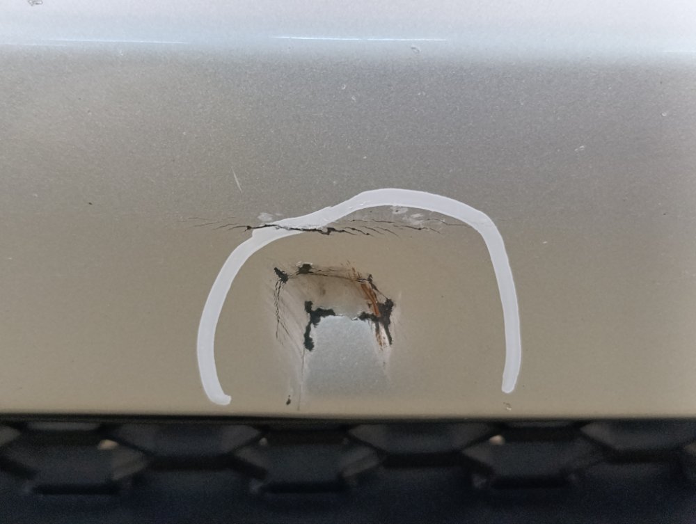 Бампер, 10000 рублей, Москва