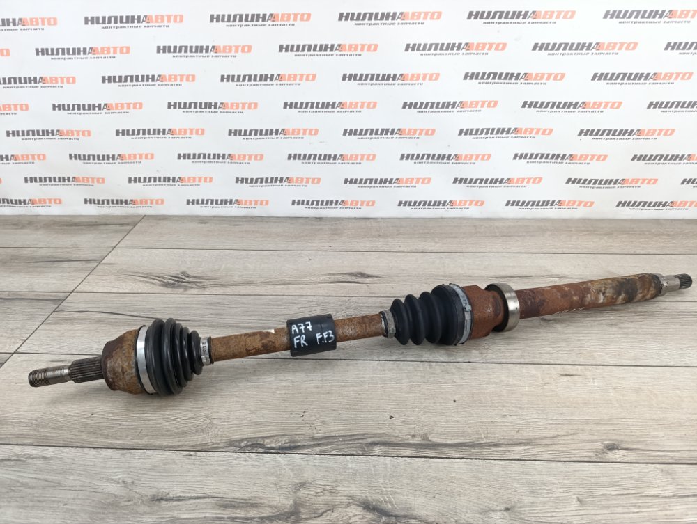 Привод, 10000 рублей, Москва