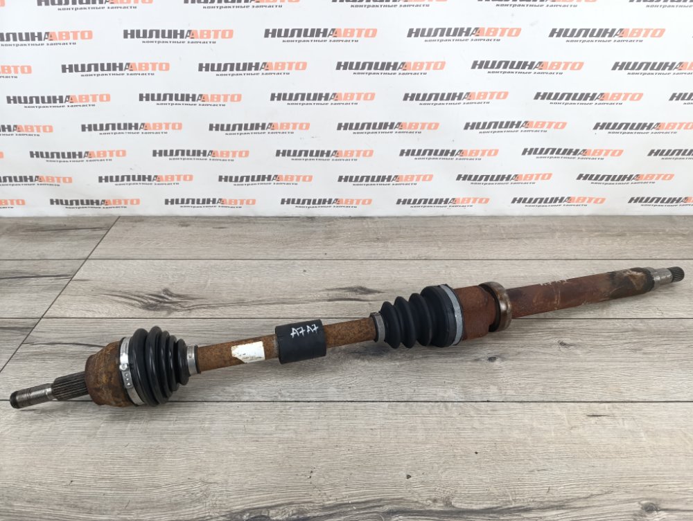 Привод, 10000 рублей, Москва