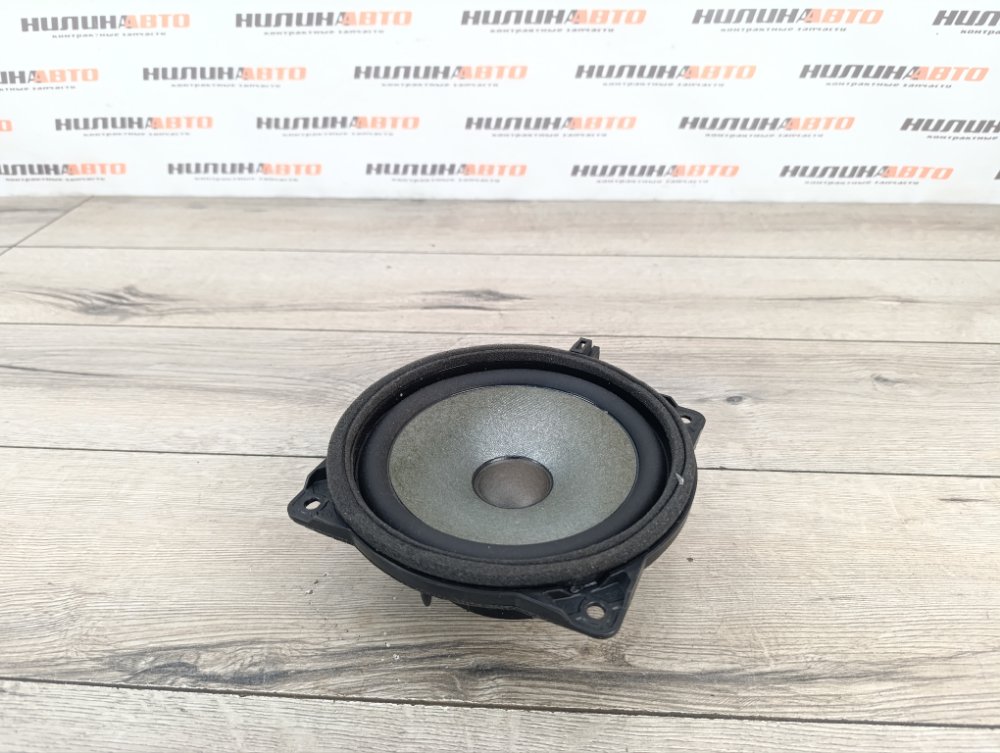 Динамик, 1000 рублей, Москва