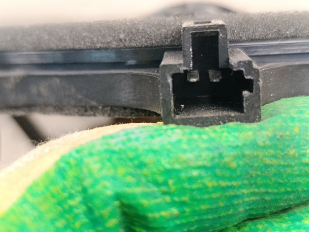 Динамик, 1000 рублей, Москва