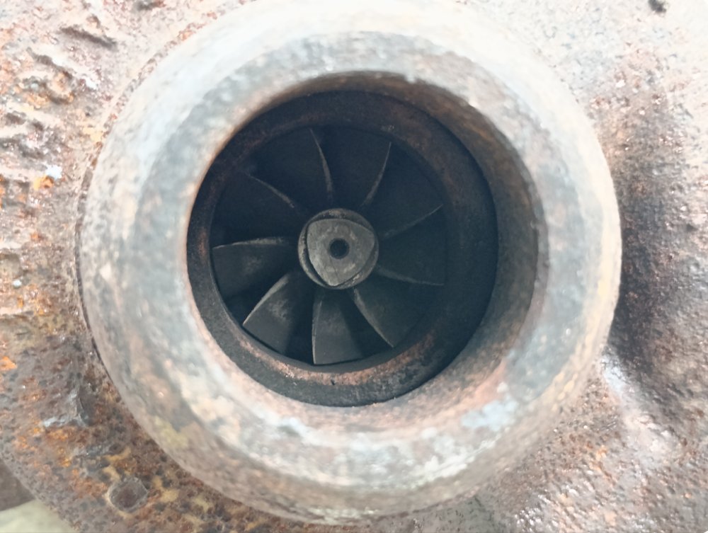 Турбина, 15000 рублей, Москва