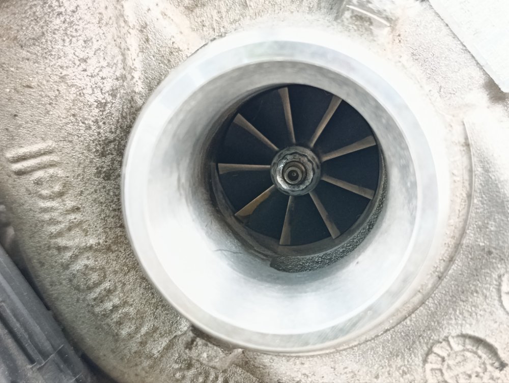 Турбина, 15000 рублей, Москва