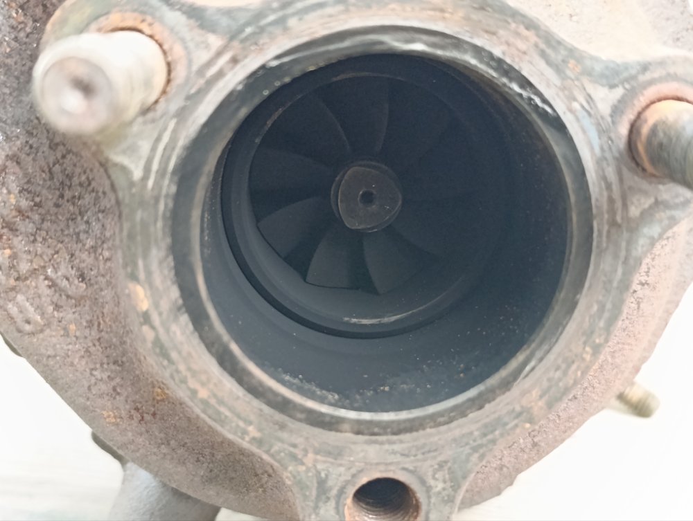 Турбина, 15000 рублей, Москва