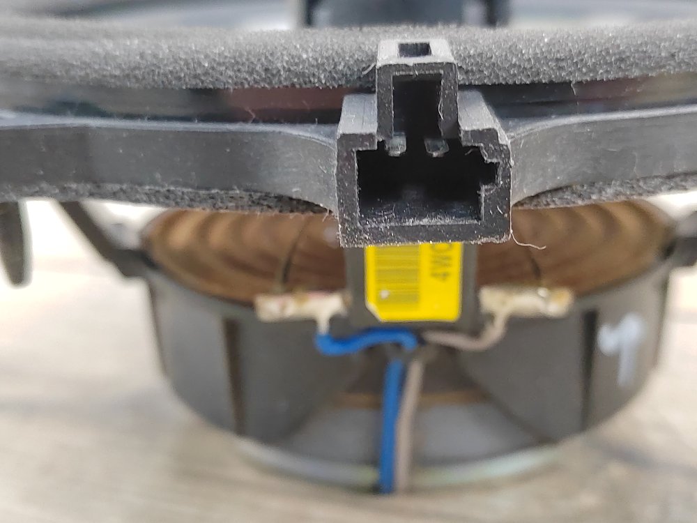 Динамик, 1000 рублей, Москва