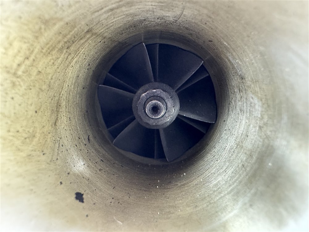 Турбина, 6000 рублей, Севастополь