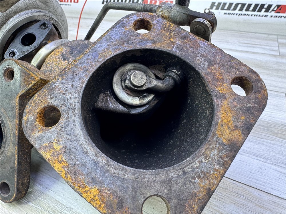 Турбина, 8000 рублей, Севастополь