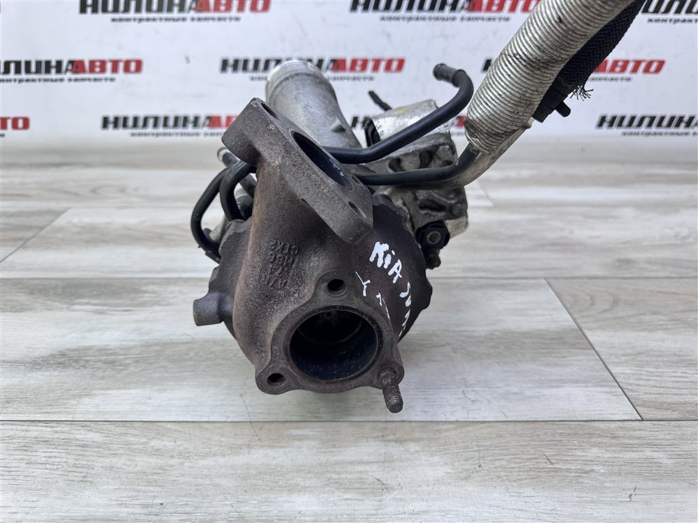 Турбина, 16000 рублей, Севастополь