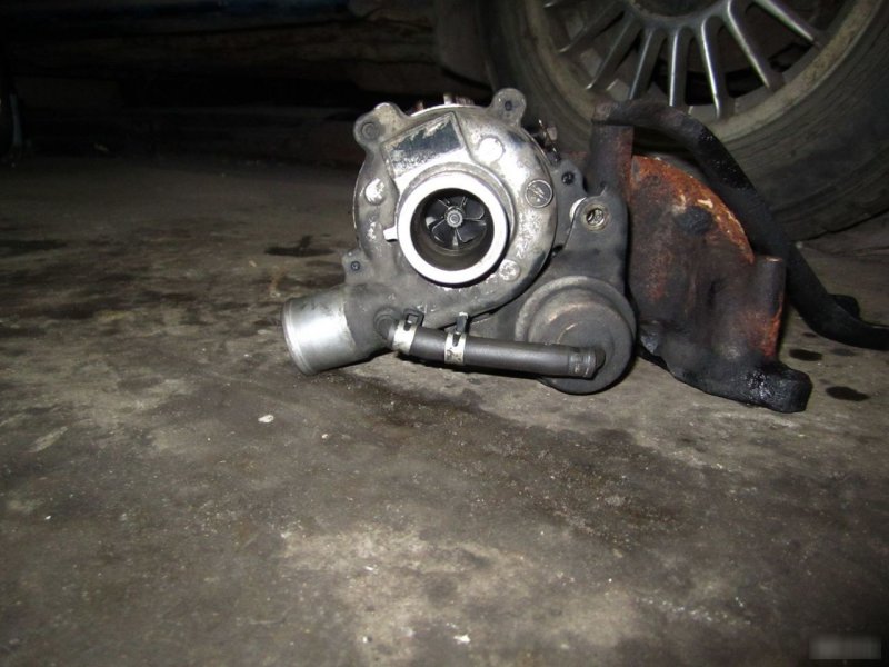 Турбина, 8700 рублей, Калининград