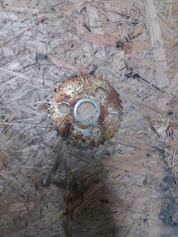 Реперный диск, 1650 рублей, Калининград