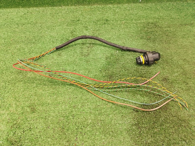 Разъем, 1000 рублей, Фроловское