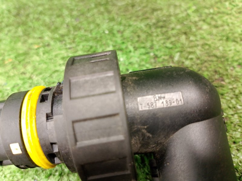 Разъем, 1000 рублей, Фроловское