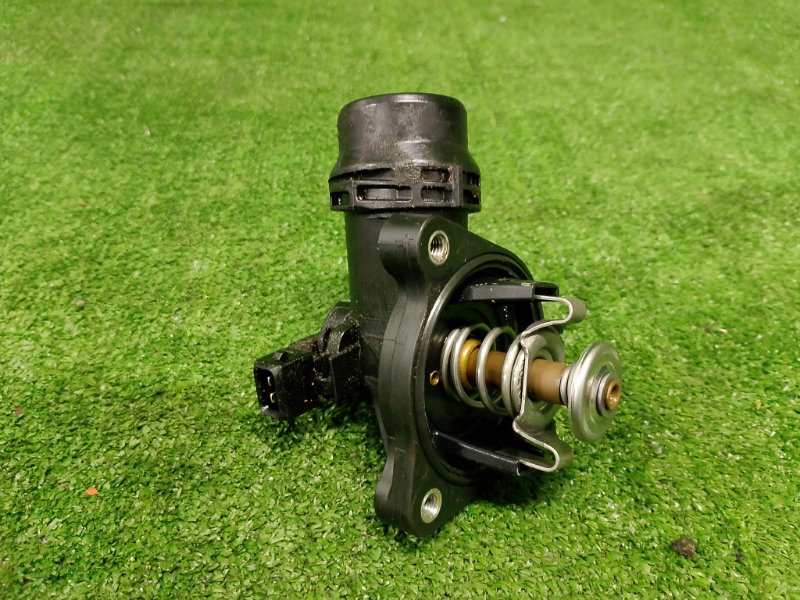 Термостат, 1200 рублей, Фроловское