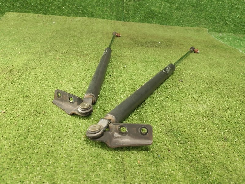 Амортизатор двери багажника, 1200 рублей, Фроловское