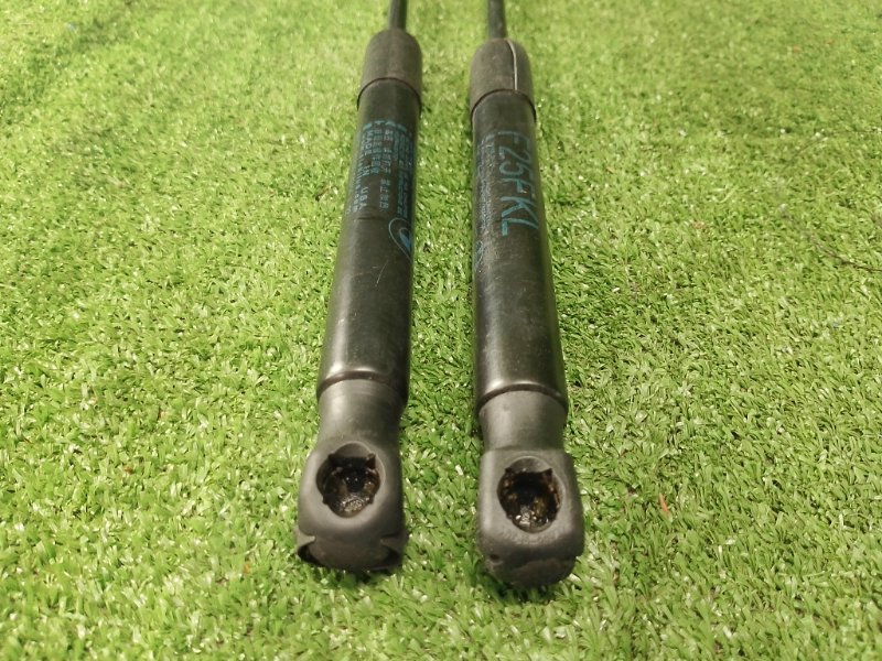 Амортизатор капота, 1500 рублей, Фроловское