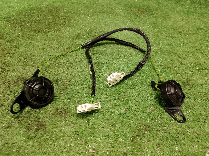 Динамик высокочастотный, 2000 рублей, Фроловское