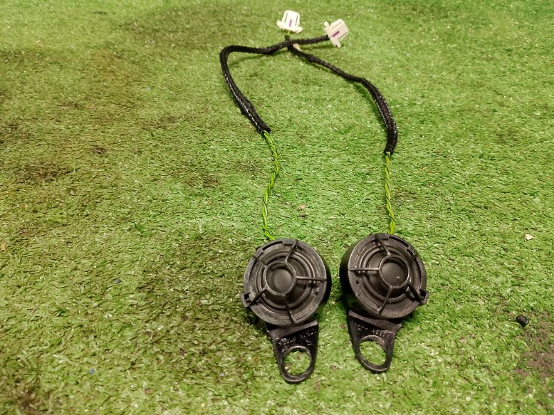 Динамик высокочастотный, 2000 рублей, Фроловское