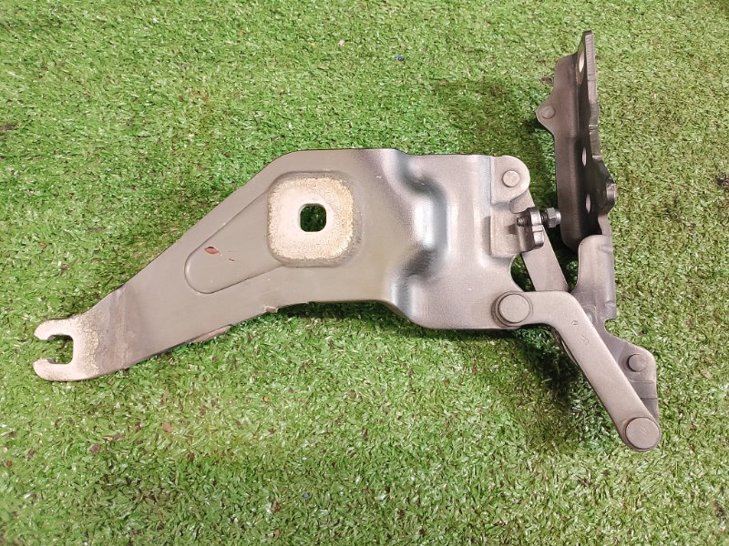 Петля капота, 900 рублей, Фроловское