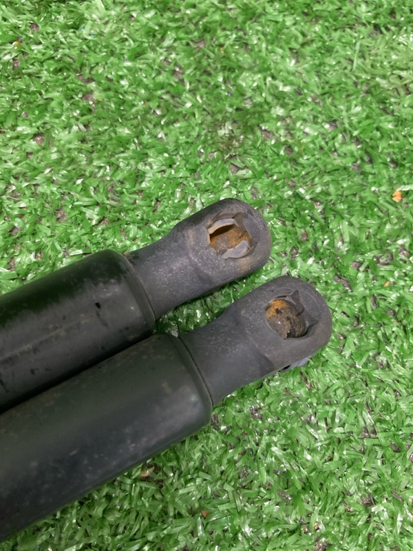 Амортизатор крышки багажника, 1200 рублей, Фроловское