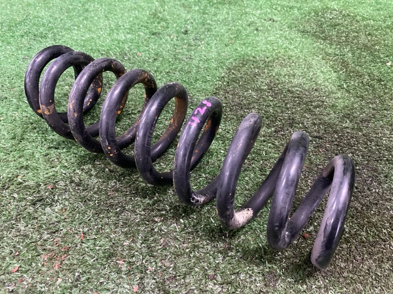 Пружина, 1200 рублей, Фроловское