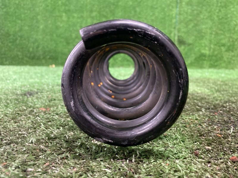 Пружина, 1200 рублей, Фроловское