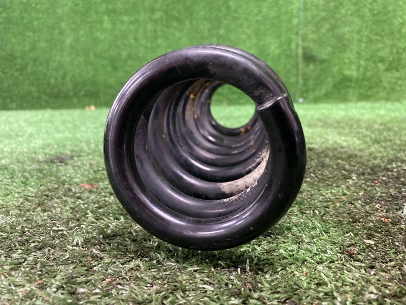 Пружина, 1200 рублей, Фроловское