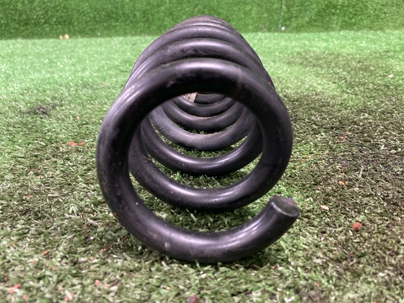 Пружина, 2500 рублей, Фроловское