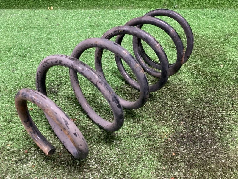 Пружина, 3800 рублей, Фроловское