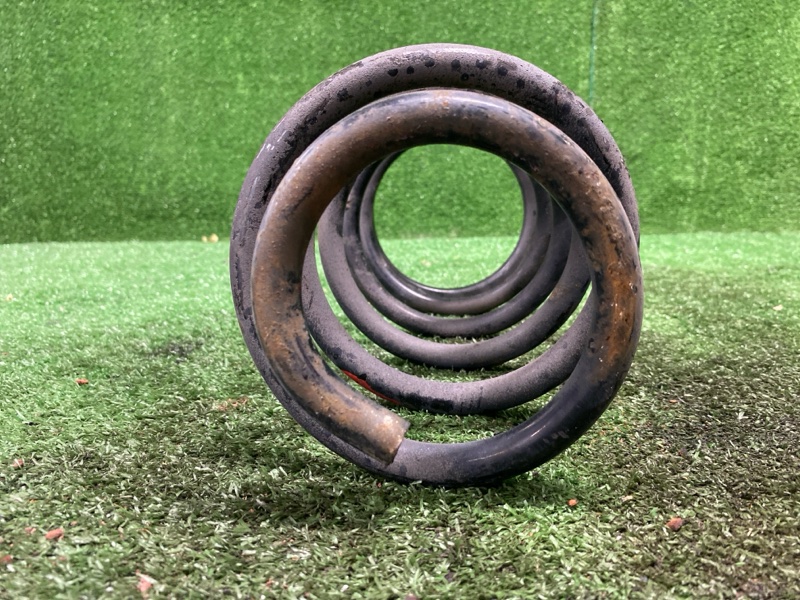 Пружина, 3800 рублей, Фроловское