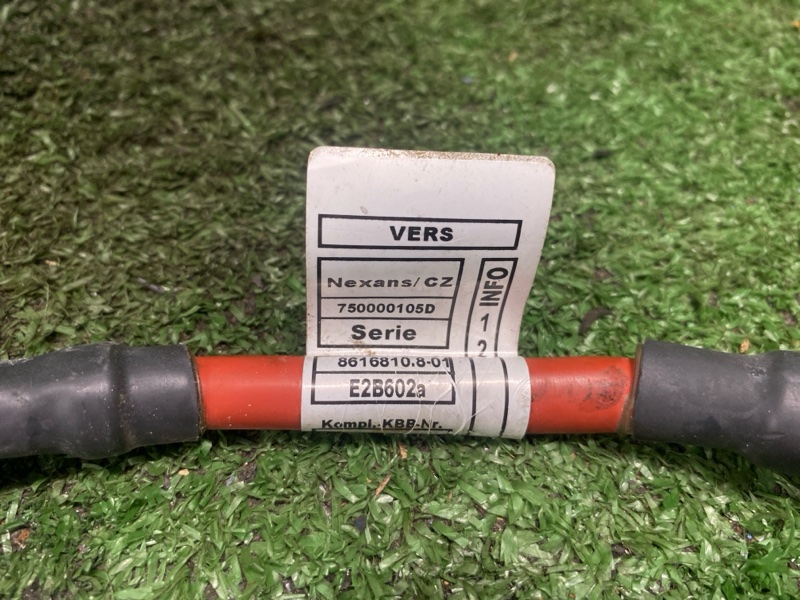 Провод массы, 1000 рублей, Фроловское