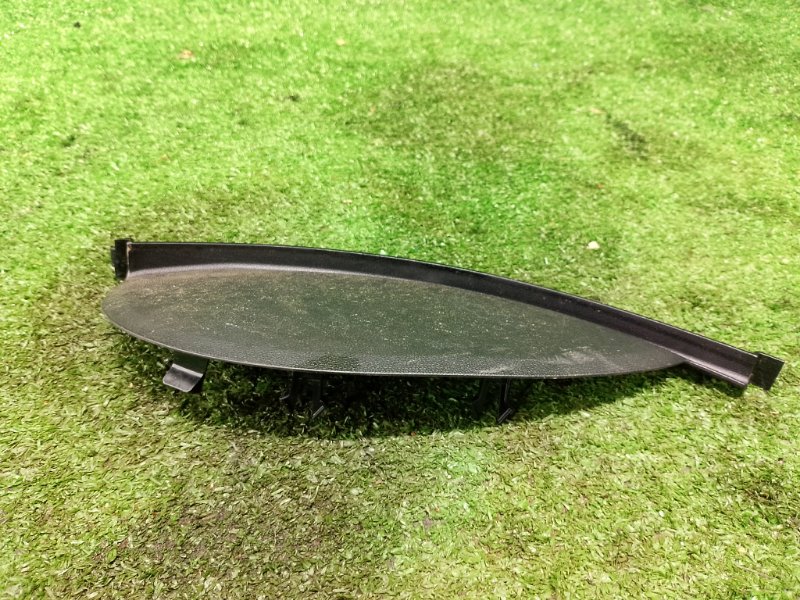 Накладка в салоне, 500 рублей, Фроловское