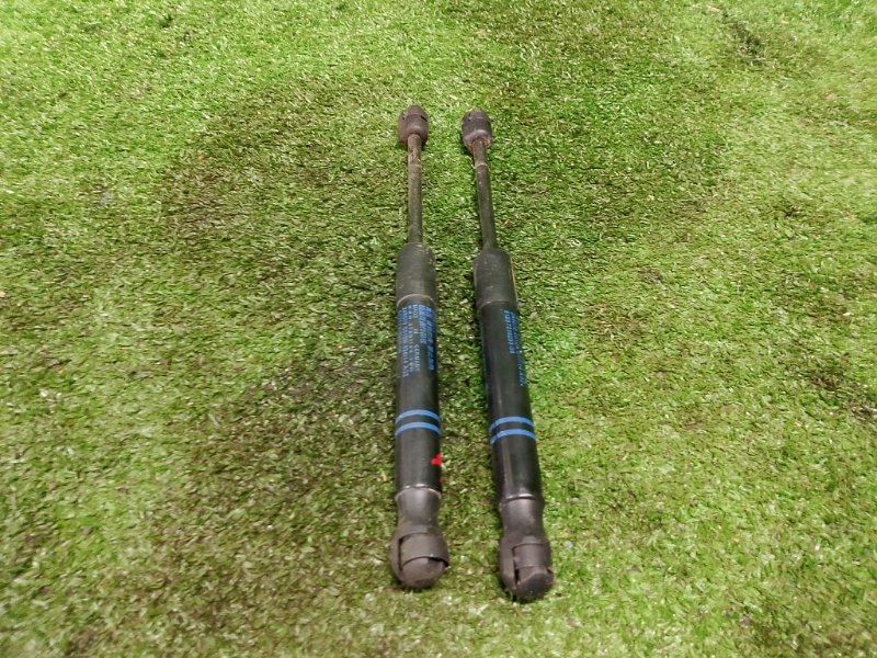 Амортизатор капота, 1200 рублей, Фроловское