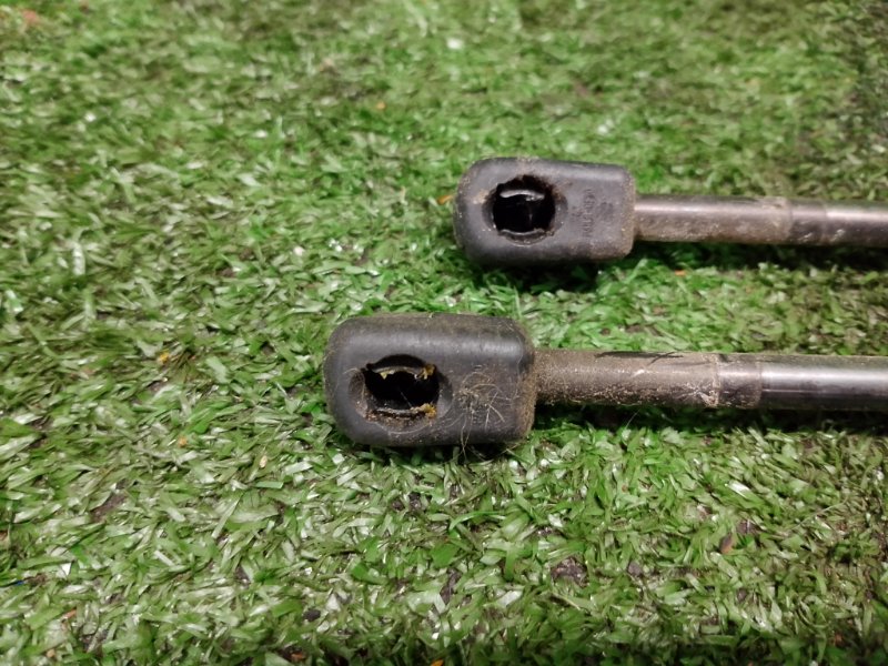 Амортизатор капота, 1200 рублей, Фроловское