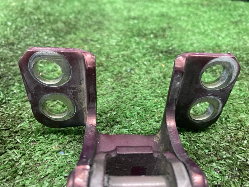 Петля двери, 1000 рублей, Фроловское